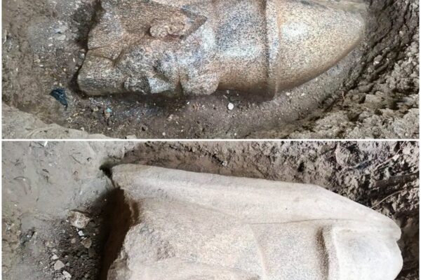 Lost for Millennia: Massive Statues Emerge from Ancient Egyptian Site